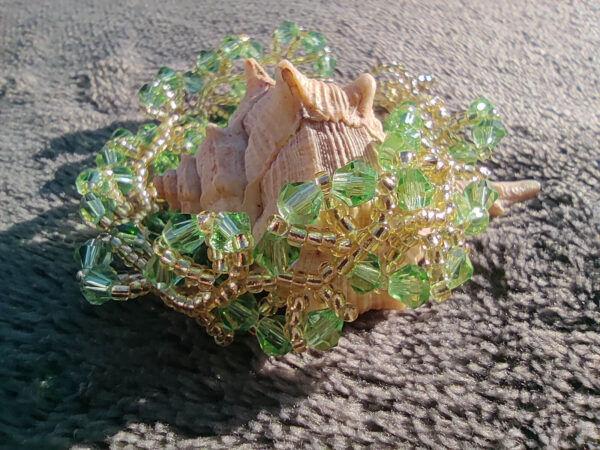 Tree of Life bracelet on a shell