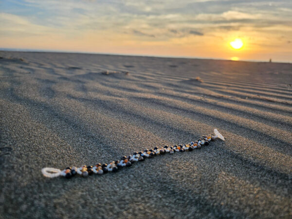 Healing Shield and Grounding at sunset