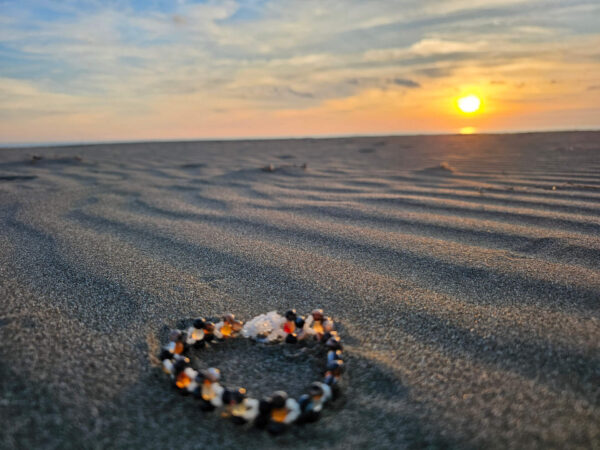 Healing Shield and Grounding at sunset light