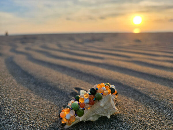 Flower of Life on a shell at sunset